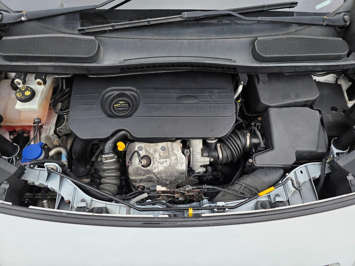 Used Ford Transit Connect for sale - 76886700: Photo 40