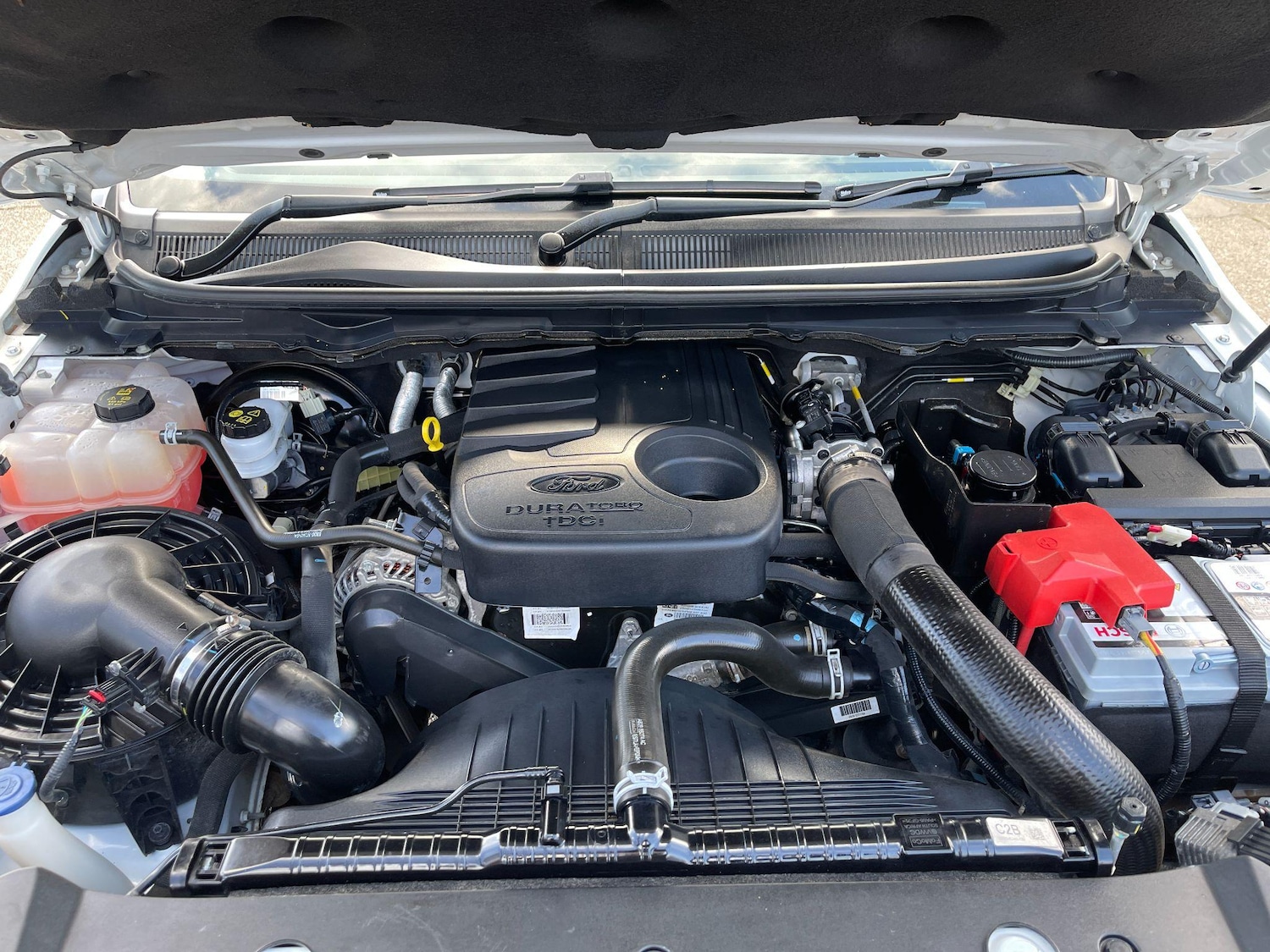 Used Ford Ranger 2018 for sale - 76997720: Photo 17