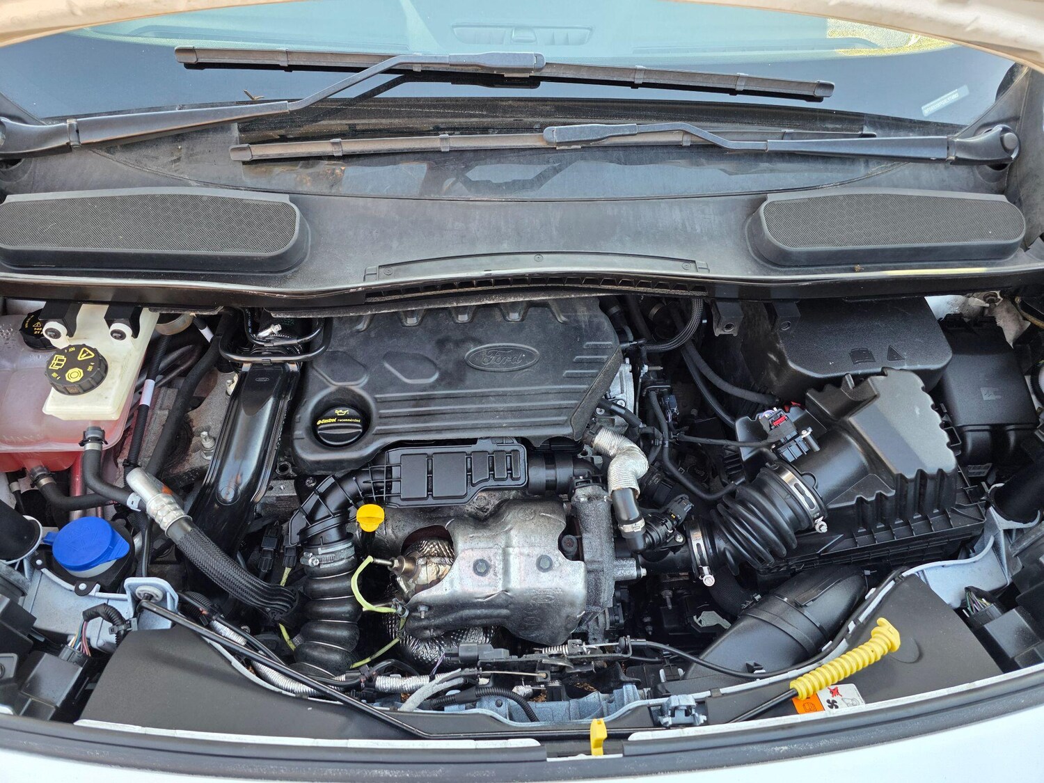 Used Ford Transit Connect 2020 for sale - 78006721: Photo 23