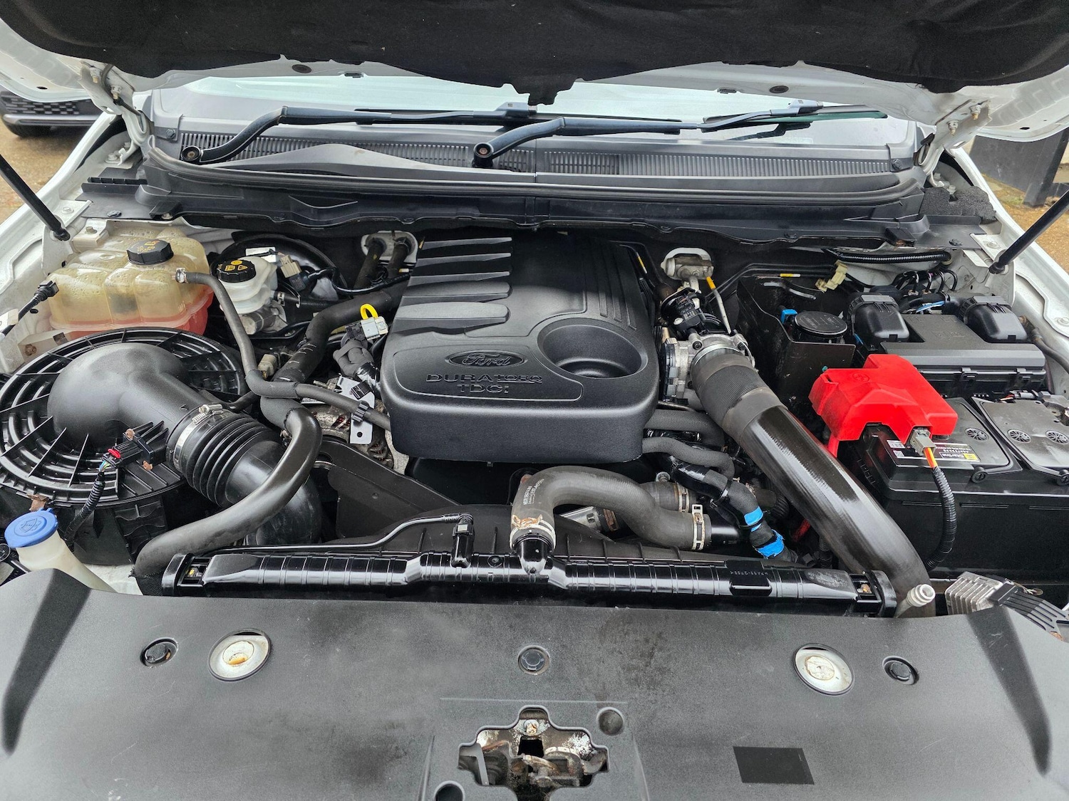 Used Ford Ranger 2017 for sale - 77156478: Photo 15