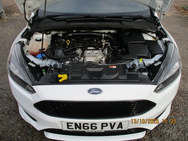 Used Ford Focus 2016 for sale - 76254825: Photo 9