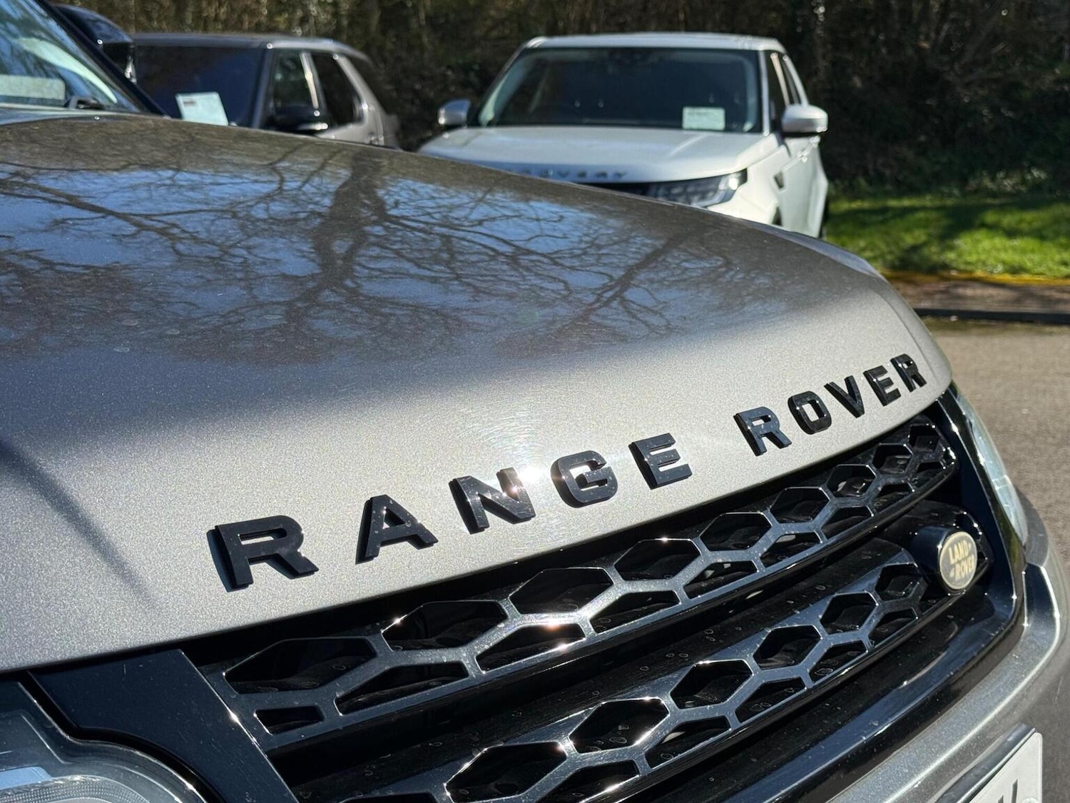 Used Land Rover Range Rover Sport 2014 for sale - 77938010: Photo 6