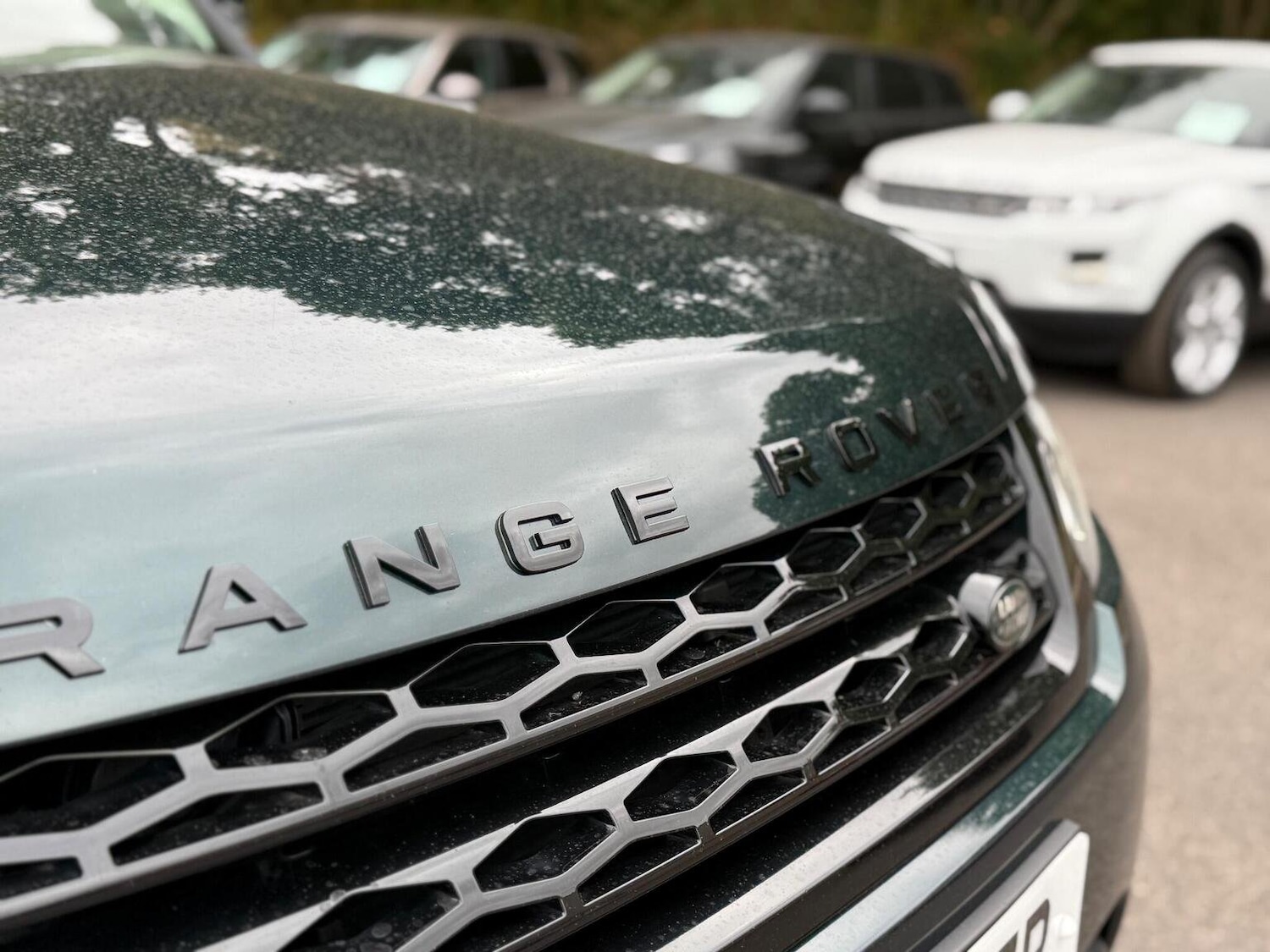 Used Land Rover Range Rover Sport 2016 for sale - 77707327: Photo 10