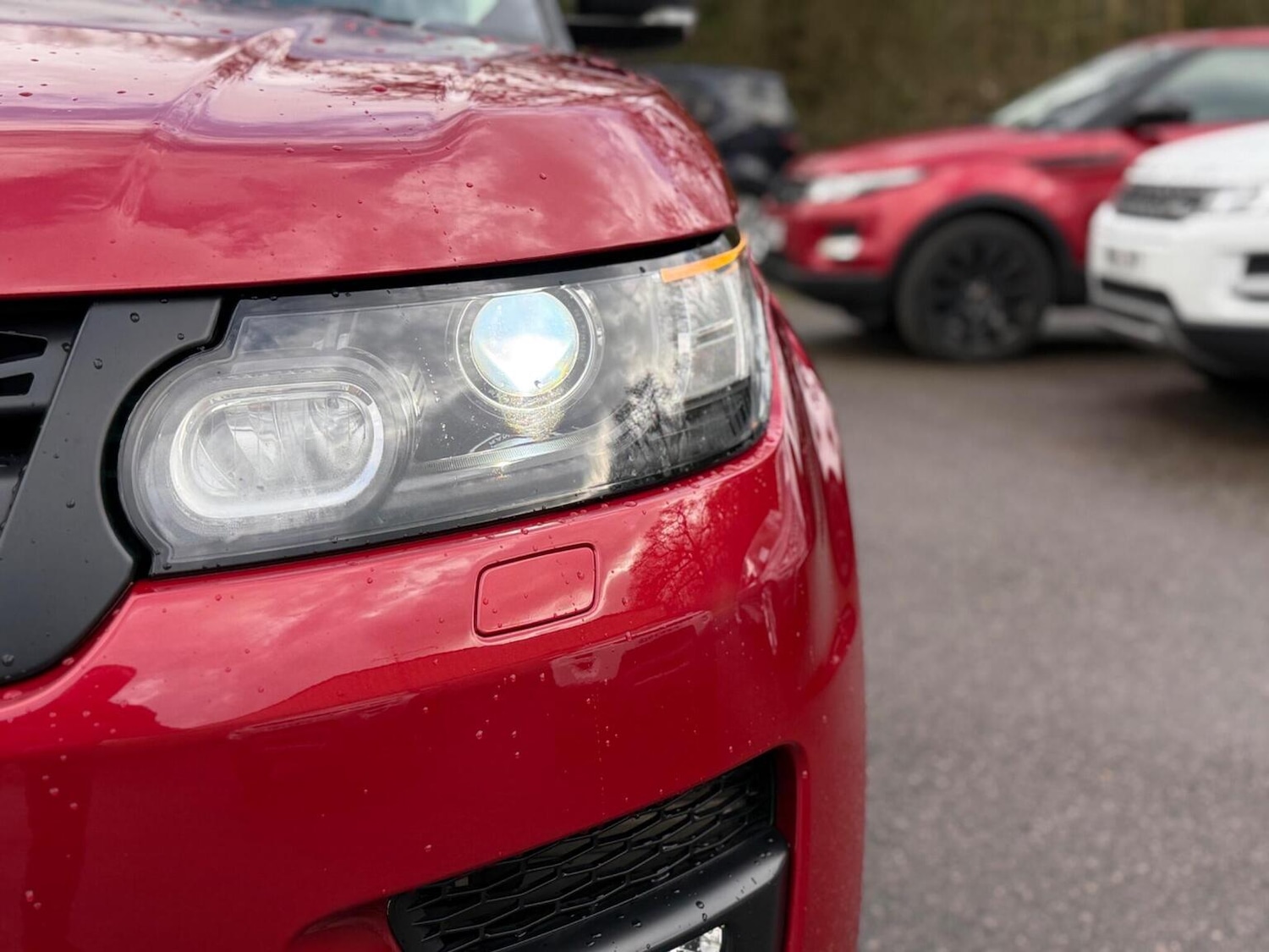 Used Land Rover Range Rover Sport 2017 for sale - 77622438: Photo 11