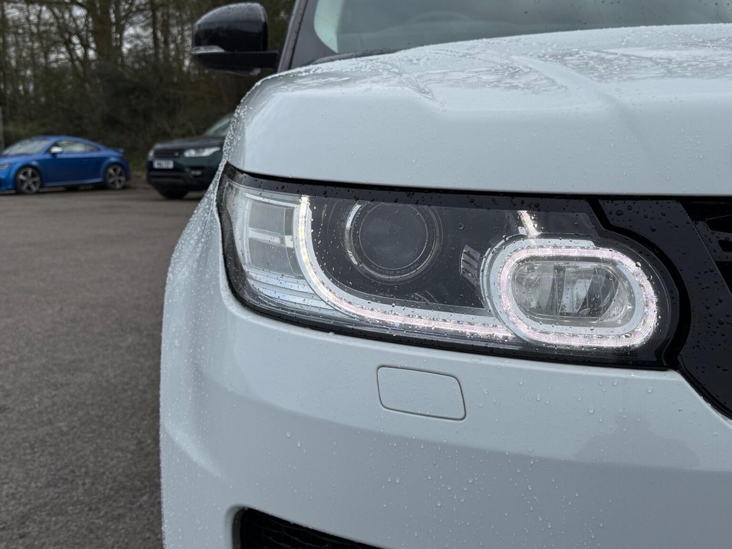 Used Land Rover Range Rover Sport 2017 for sale - 77342601: Photo 45