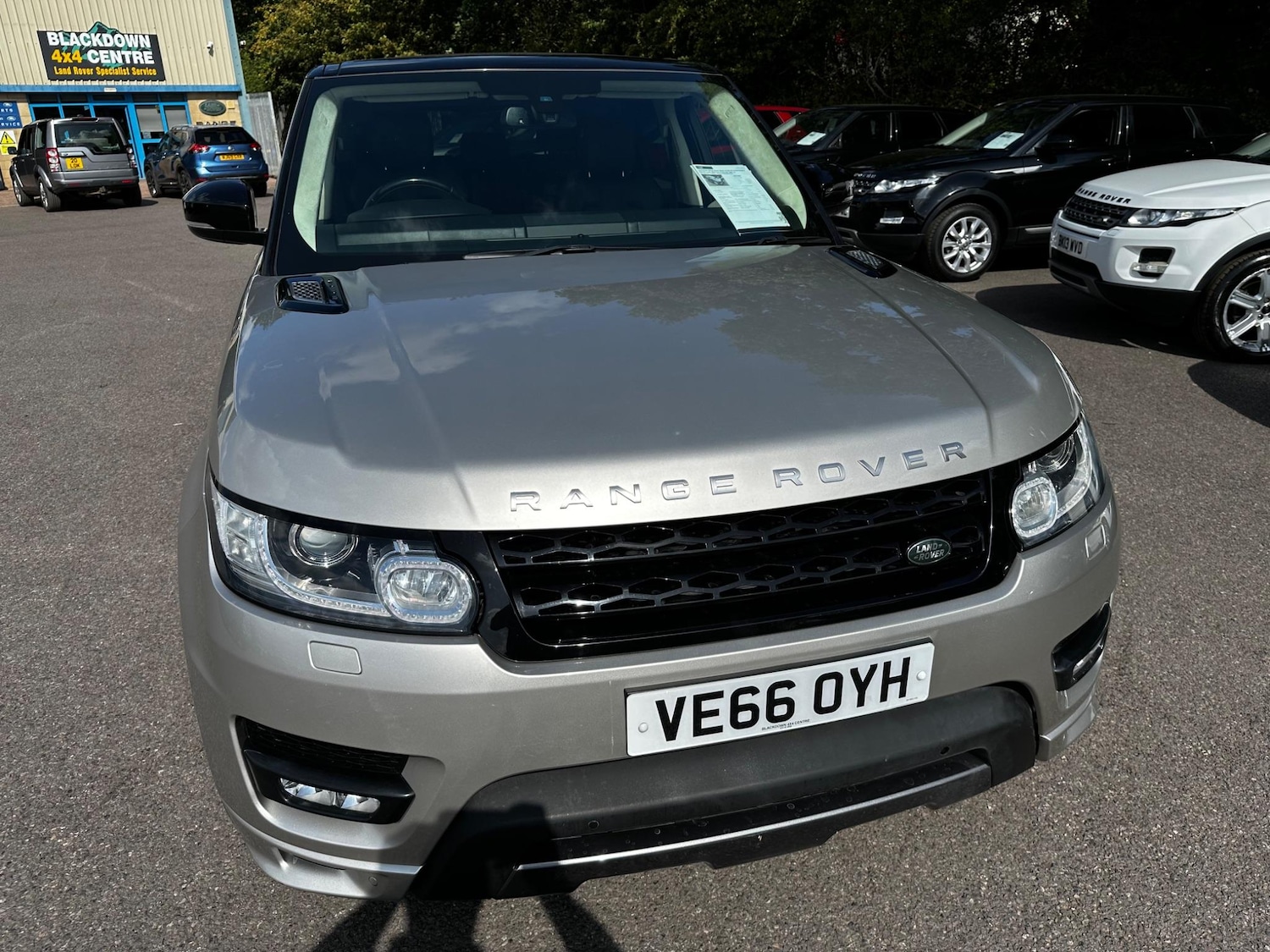 Used Land Rover Range Rover Sport 2016 for sale - 76994366: Photo 11
