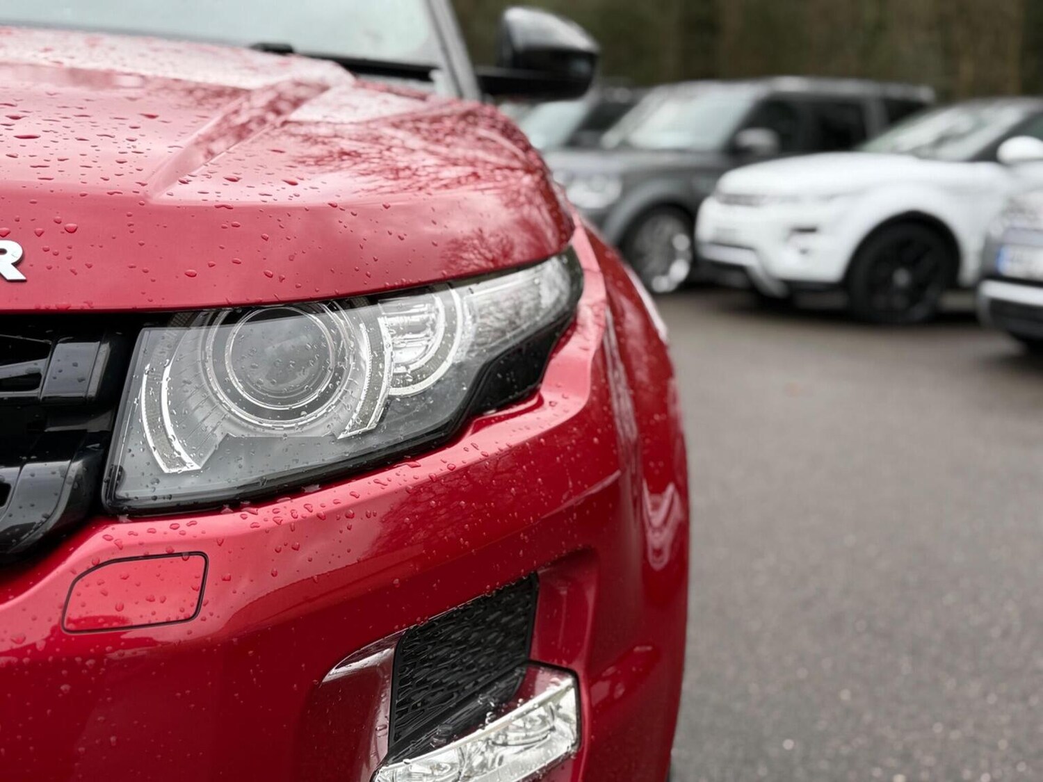 Used Land Rover Range Rover Evoque 2014 for sale - 77707161: Photo 42