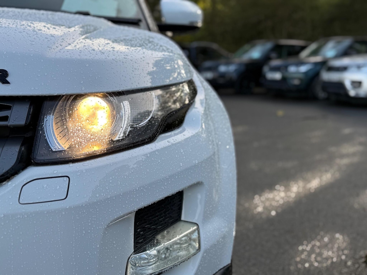 Used Land Rover Range Rover Evoque 2013 for sale - 76646146: Photo 43