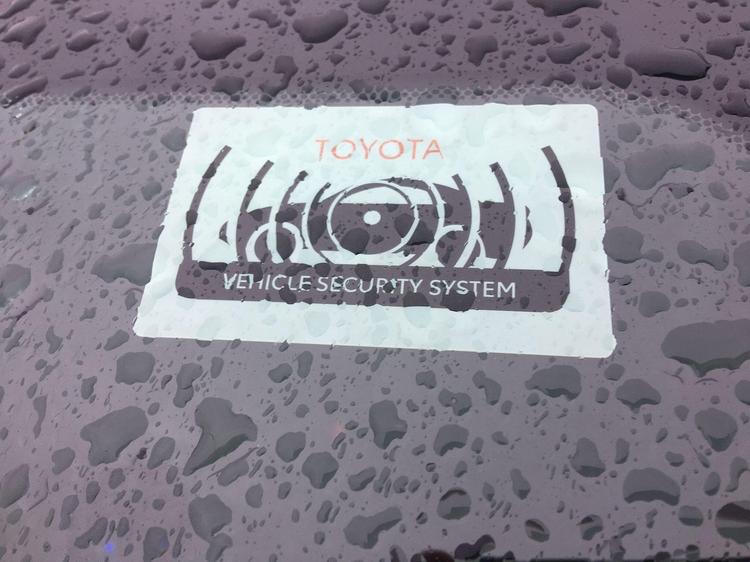 Used Toyota C-HR 2025 for sale - 77710512: Photo 11