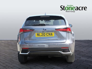 Used Lexus NX 2020 for sale - 79278834: Photo