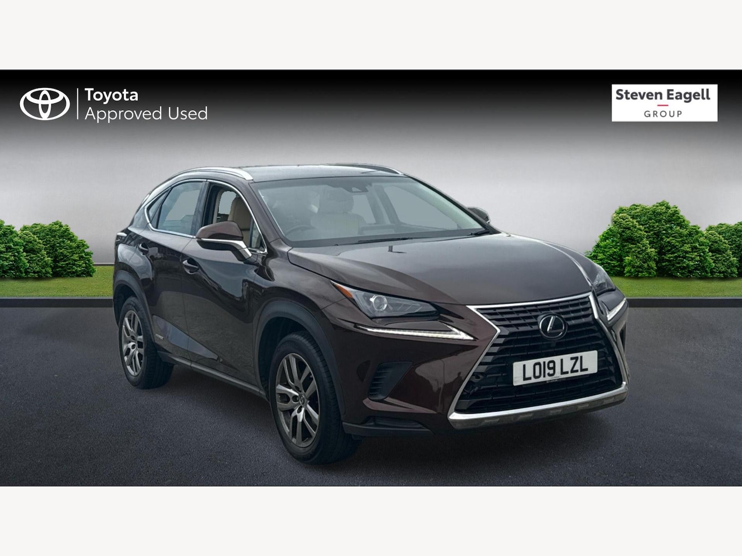 Used Lexus NX 2019 for sale - 76370143: Photo 1