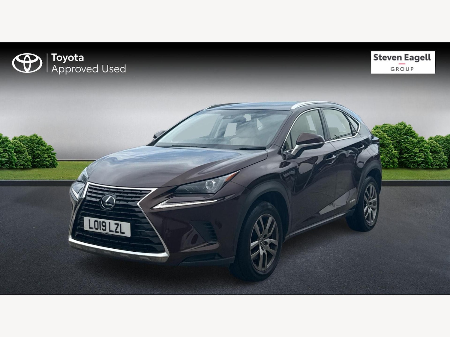 Used Lexus NX 2019 for sale - 76370143: Photo 3