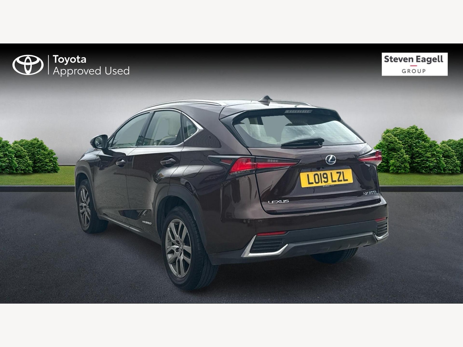 Used Lexus NX 2019 for sale - 76370143: Photo 6