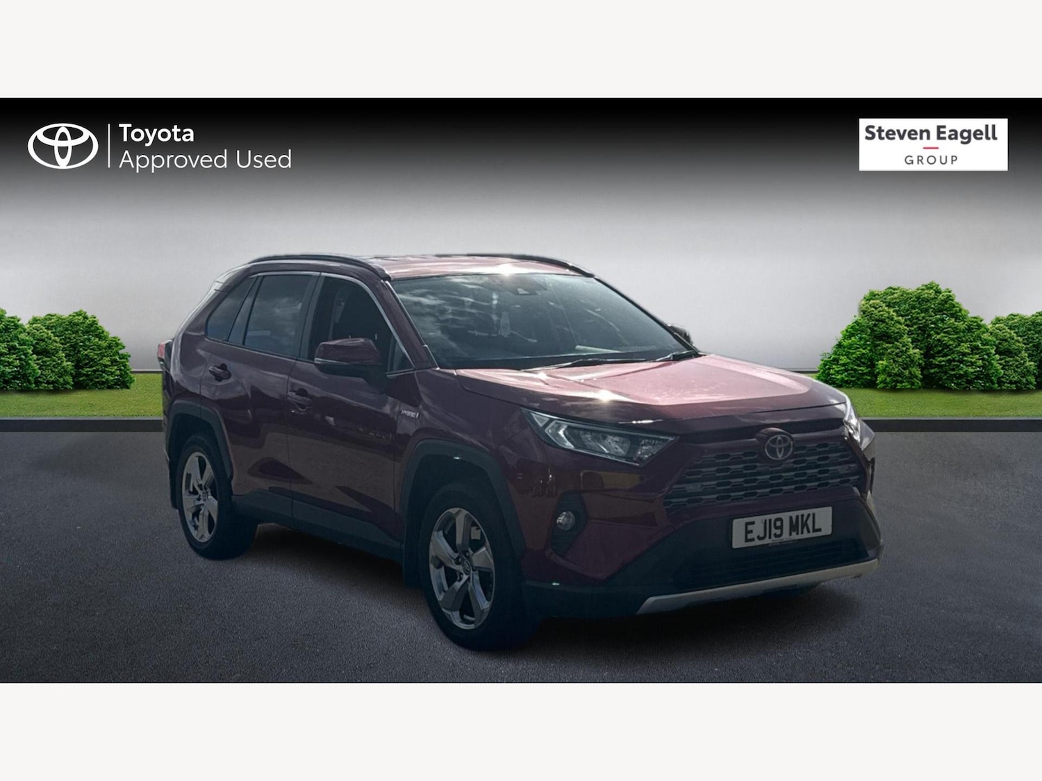 Used Toyota RAV4 2019 for sale - 76200293: Photo 1