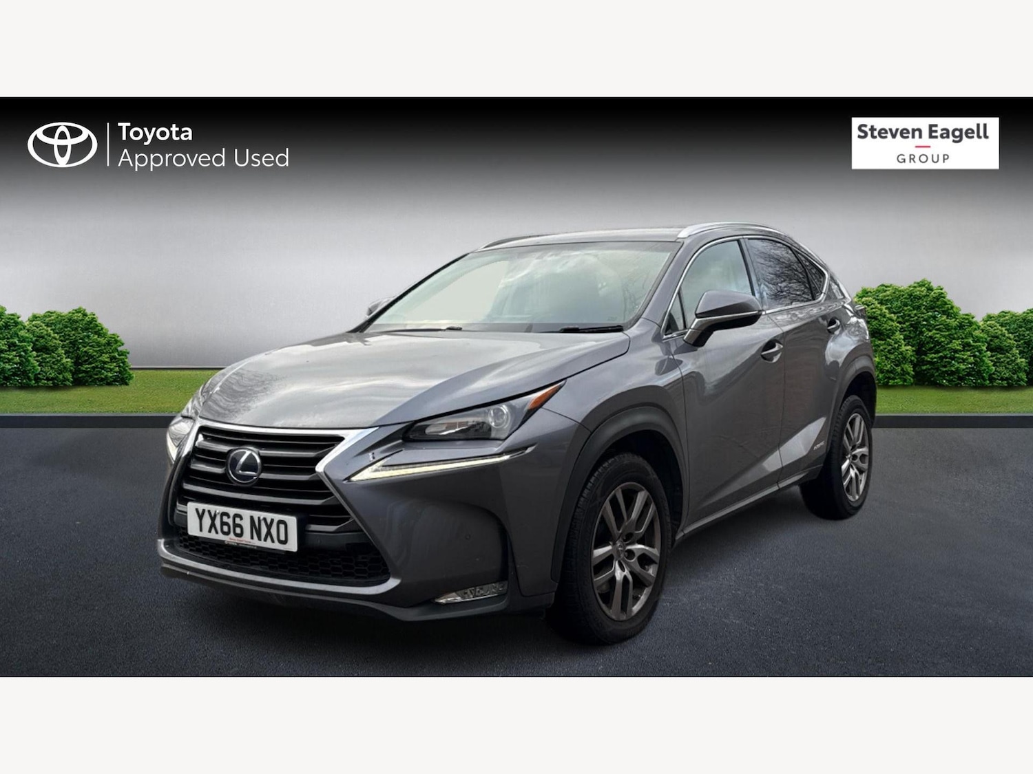Used Lexus NX 2016 for sale - 77191253: Photo 3