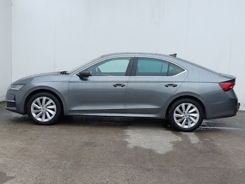 Used Skoda Octavia 2024 for sale - 77756233: Photo