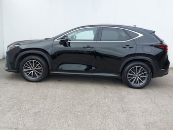 Used Lexus NX 2023 for sale - 79529392: Photo
