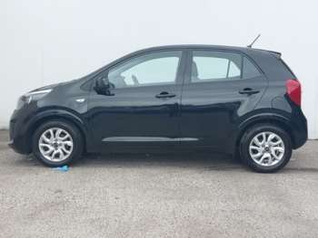 Used Kia Picanto 2017 for sale - 75400099: Photo