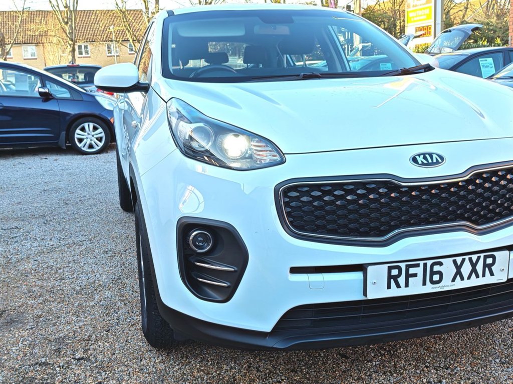 Used Kia Sportage 2016 for sale - 77188376: Photo 11