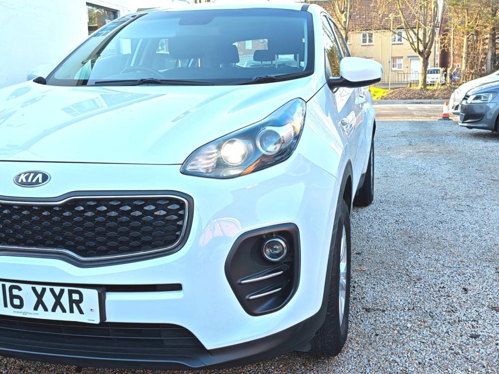 Used Kia Sportage 2016 for sale - 77188376: Photo 12
