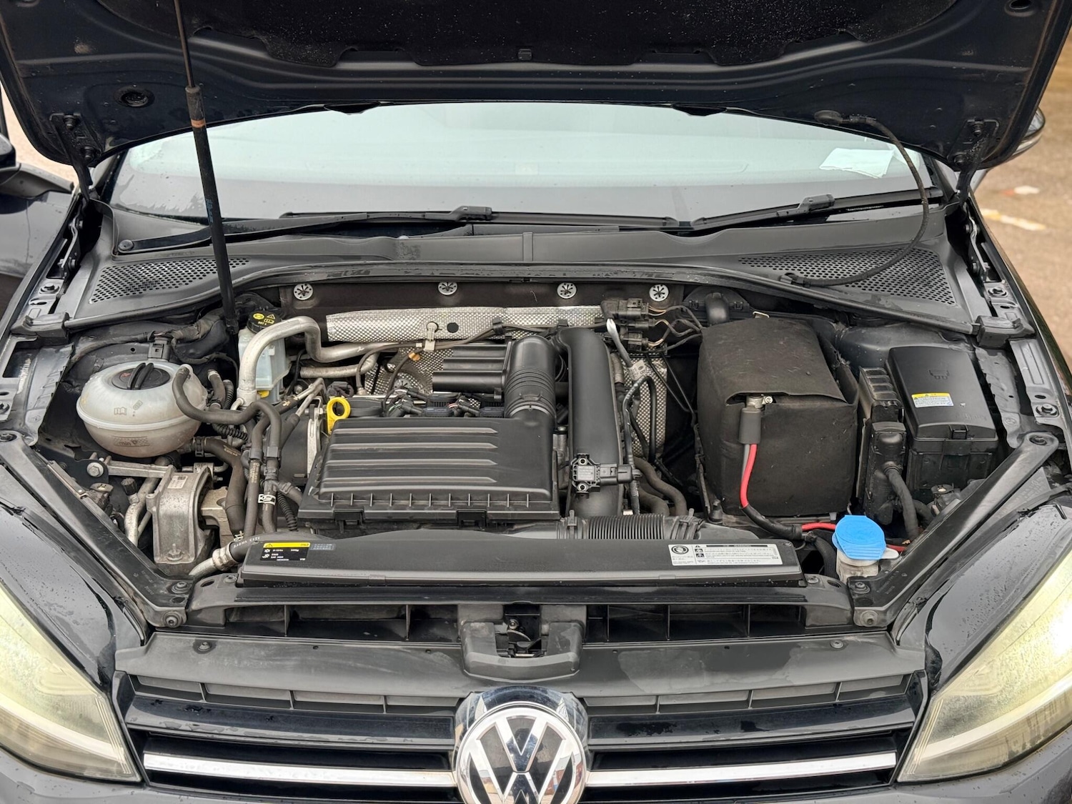 Used Volkswagen Golf 2023 for sale - 77441258: Photo 44