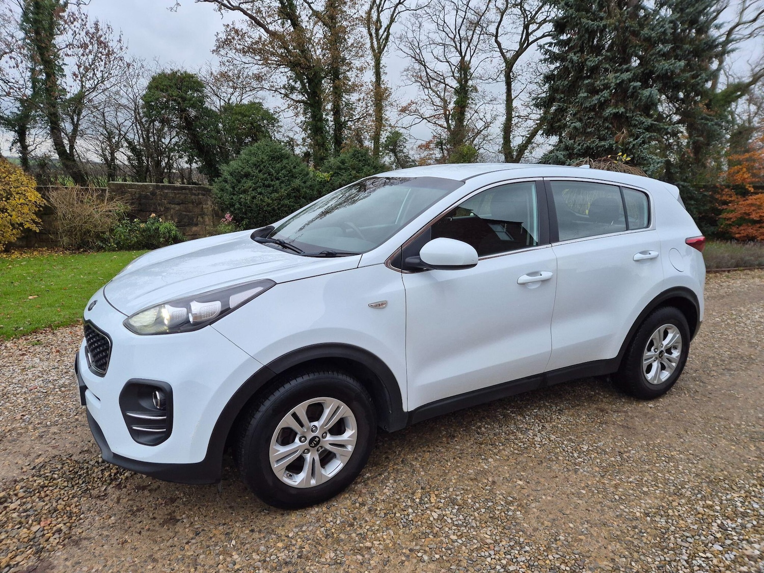 Used Kia Sportage 2016 for sale - 76824348: Photo 2