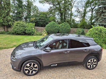 Used Citroen C4 Cactus 2019 for sale - 79092898: Photo