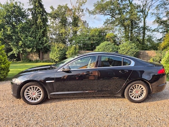 Used Jaguar XF 2014 for sale - 75532776: Photo