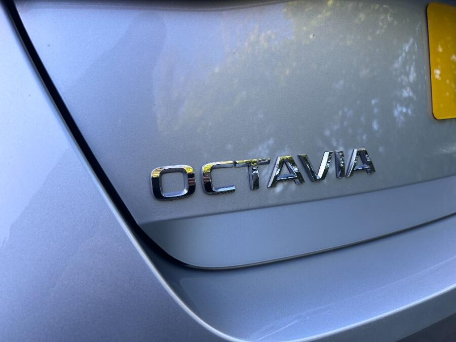 Used Skoda Octavia 2024 for sale - 77321058: Photo 26