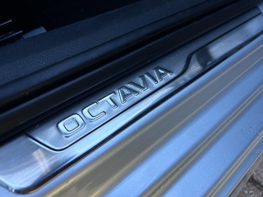 Used Skoda Octavia 2024 for sale - 77321058: Photo 27