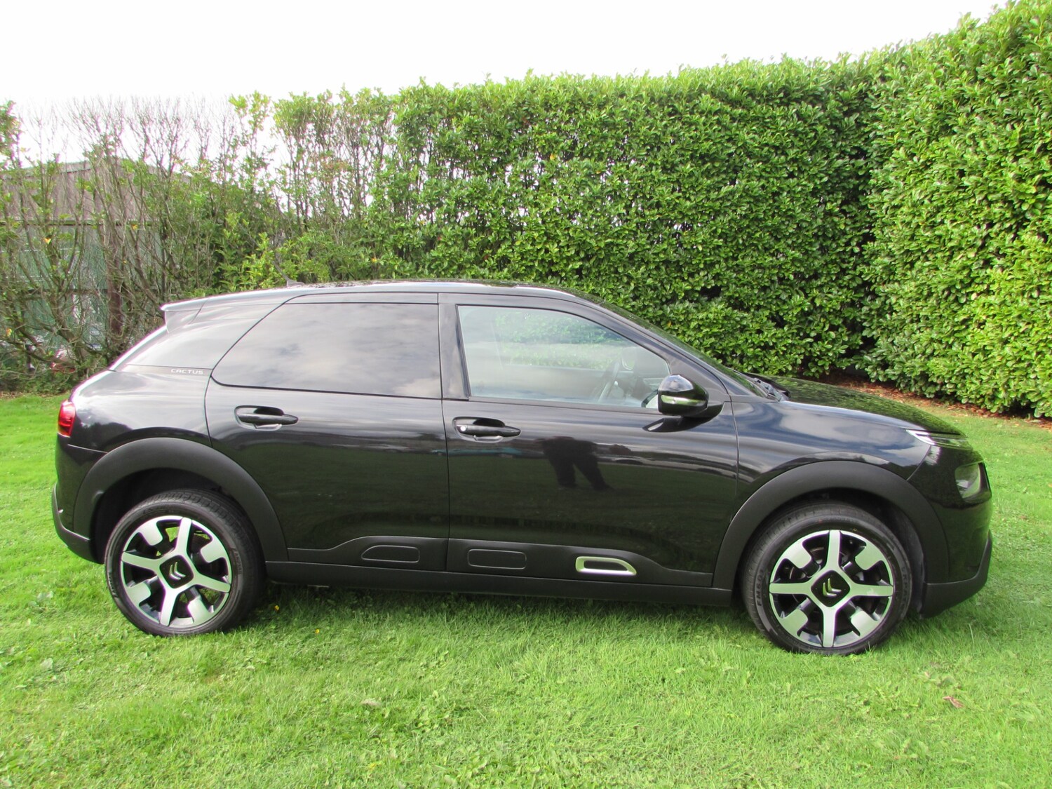 Used Citroen C4 Cactus 2019 for sale - 75724672: Photo 16