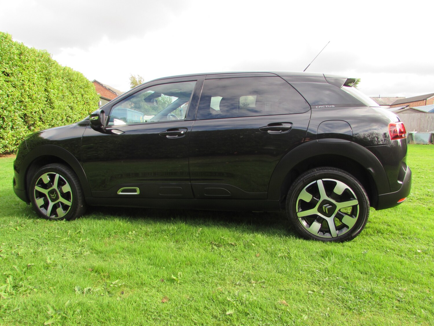 Used Citroen C4 Cactus 2019 for sale - 75724672: Photo 4
