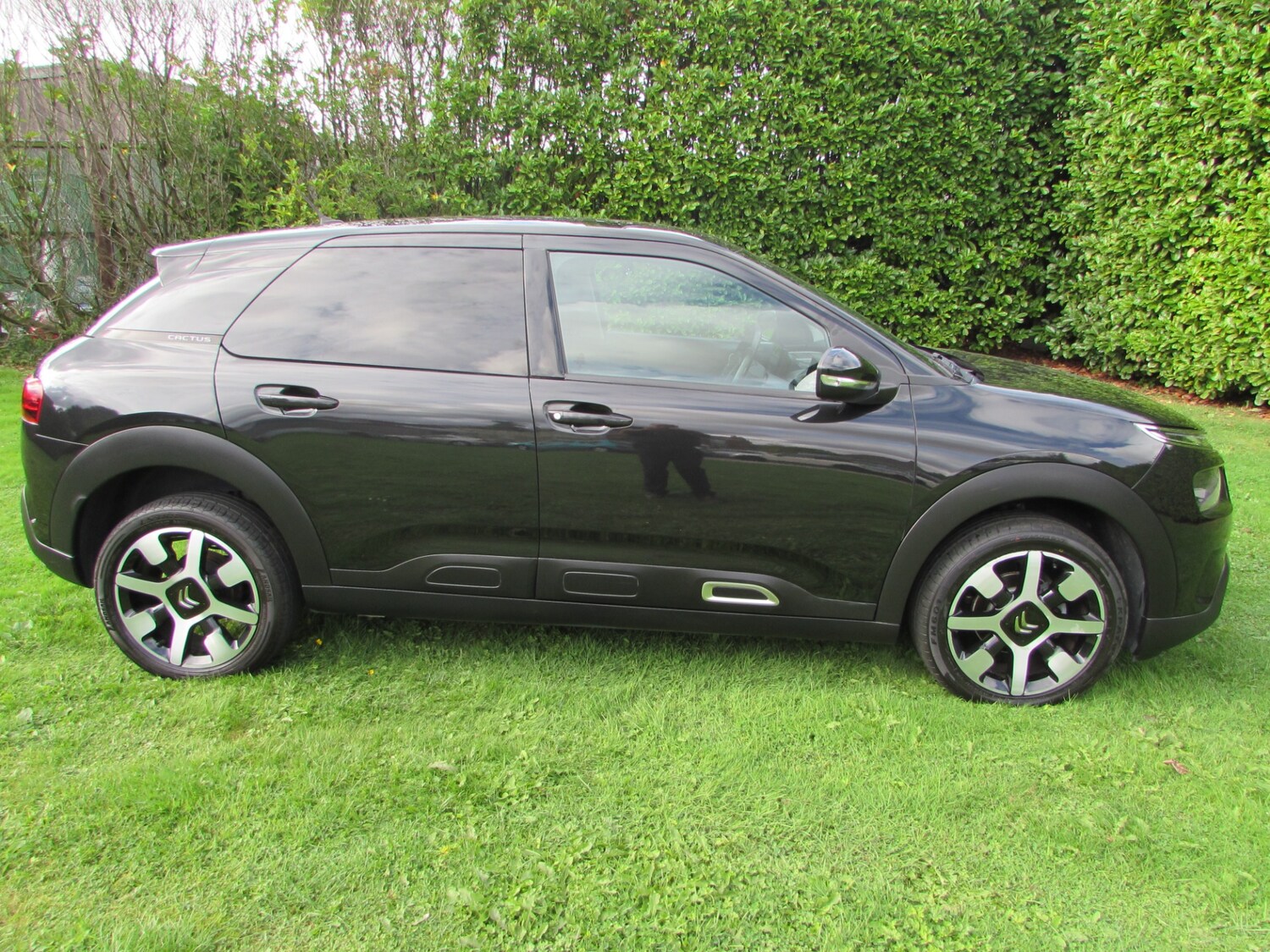 Used Citroen C4 Cactus 2019 for sale - 75724672: Photo 41