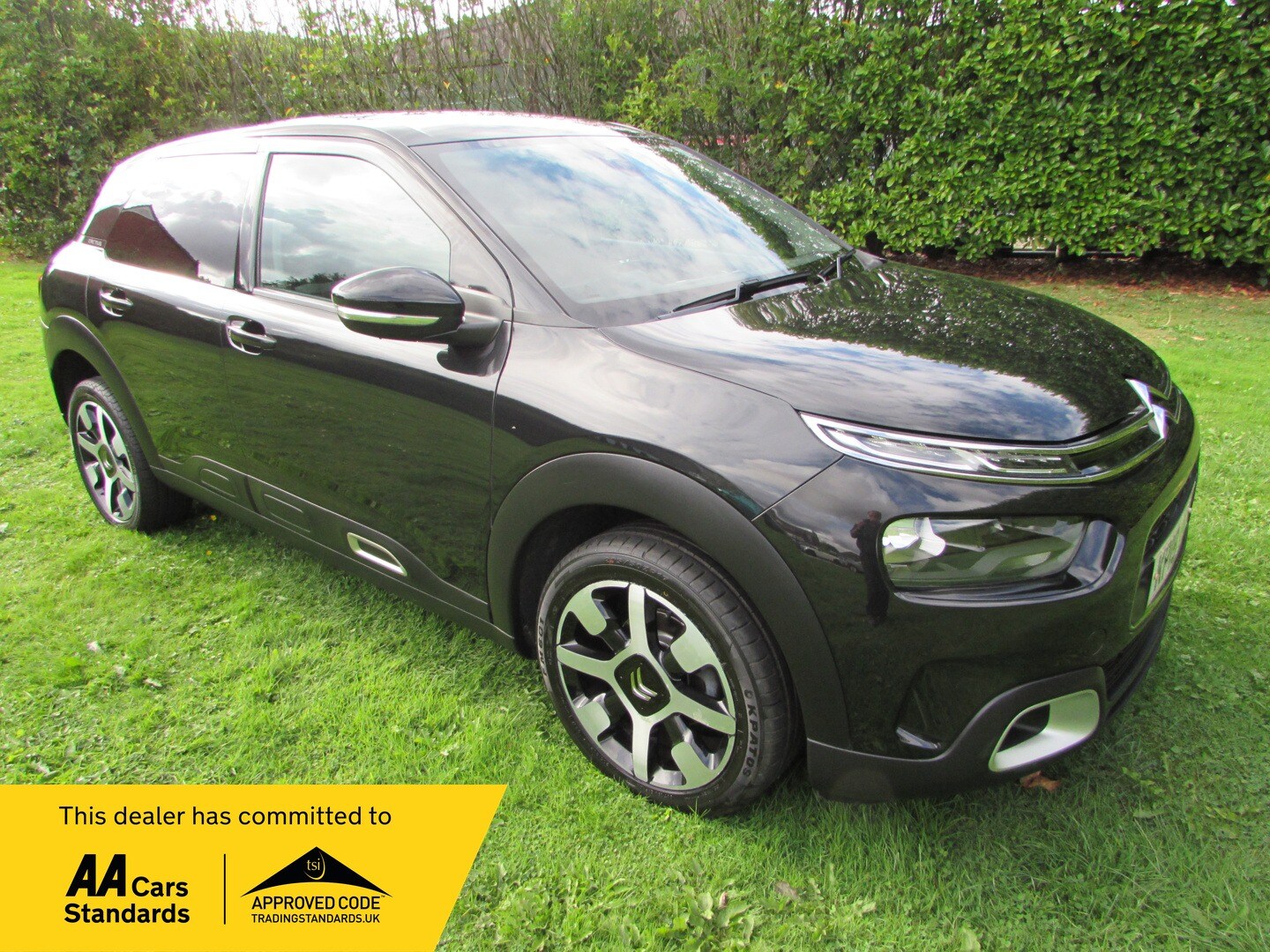 Used Citroen C4 Cactus 2019 for sale - 75724672: Photo 8
