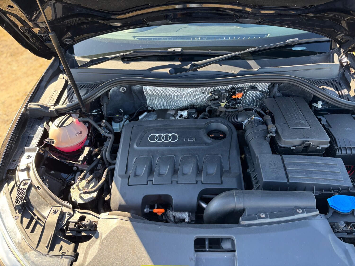 Vehicle 19