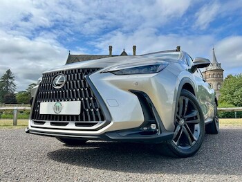 Used Lexus NX undefined for sale - 78828311: Photo