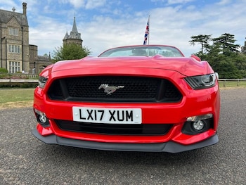 Used Ford Mustang 2017 for sale - 78529784: Photo