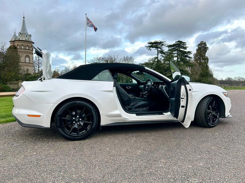 Used Ford Mustang 2018 for sale - 77884447: Photo 13