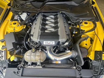 Used Ford Mustang 2018 for sale - 79076940: Photo