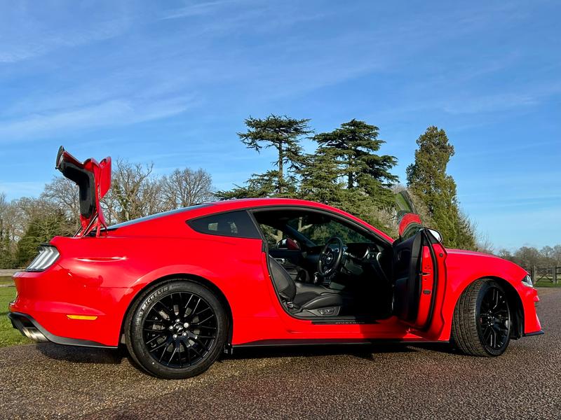 Used Ford Mustang 2019 for sale - 77113078: Photo 12