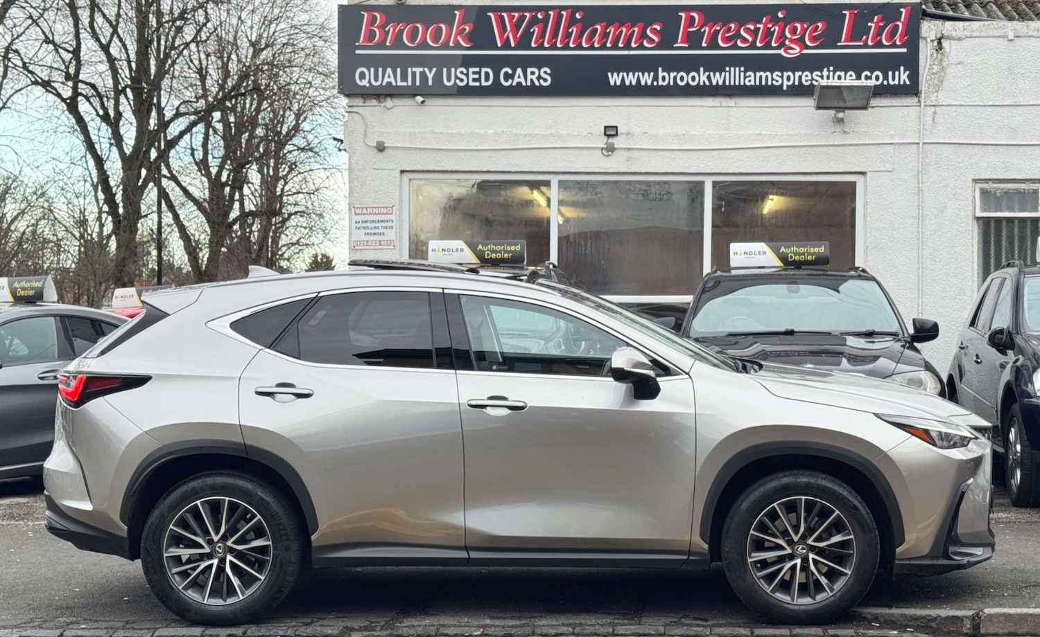 Used Lexus NX 2022 for sale - 77607884: Photo 8