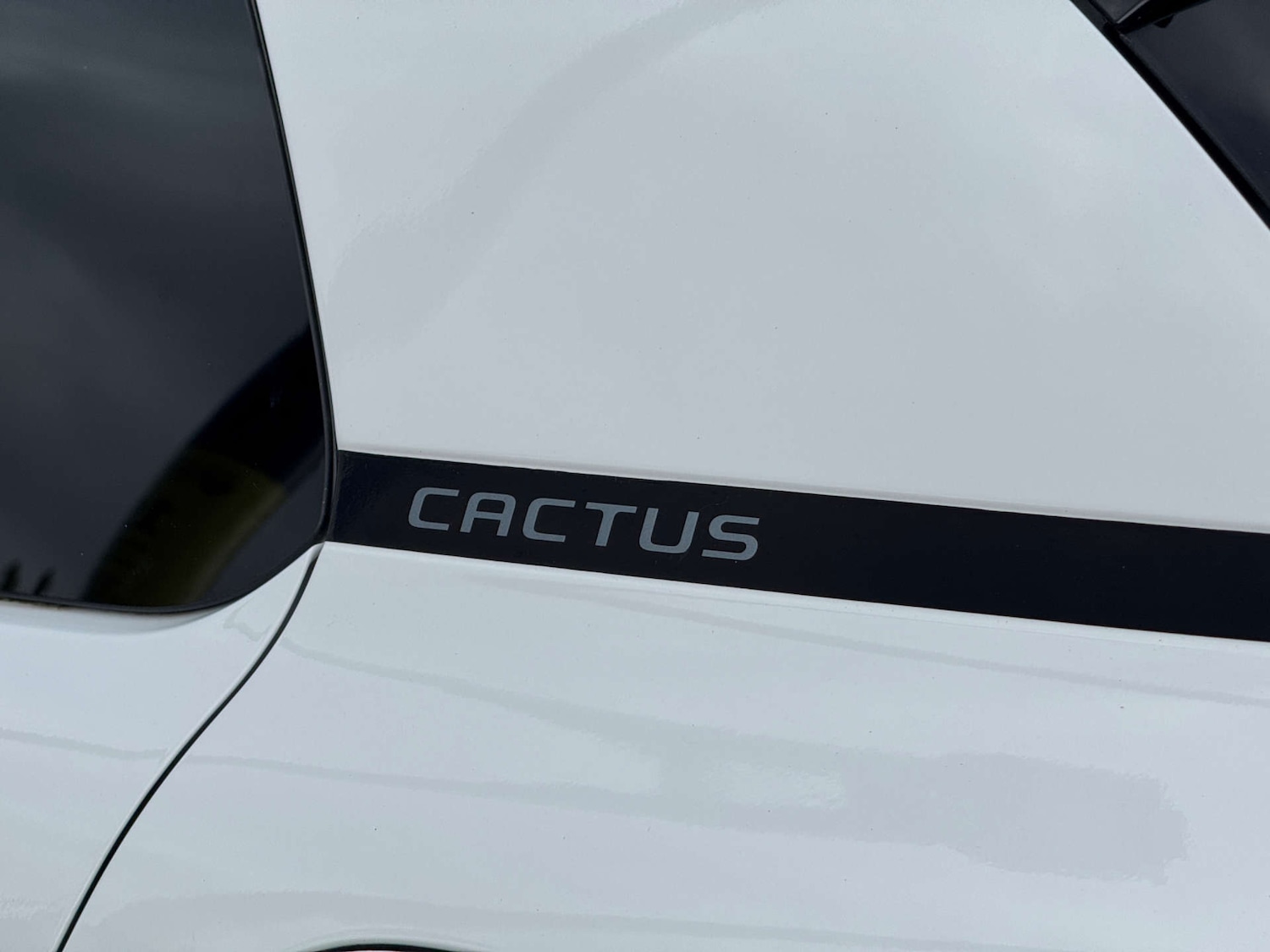 Used Citroen C4 Cactus 2019 for sale - 77975410: Photo 25