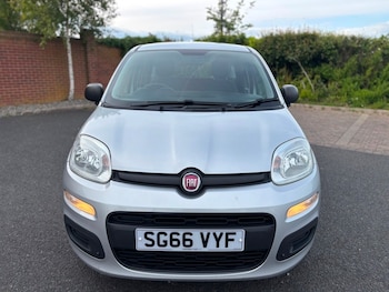 Used Fiat Panda 2016 for sale - 75833312: Photo