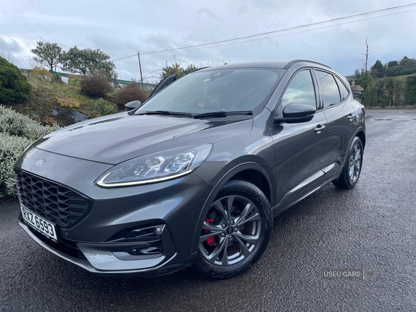 Used Ford Kuga 2022 for sale - 77638020: Photo 14