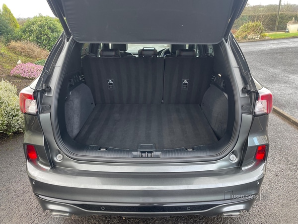 Used Ford Kuga 2022 for sale - 77638020: Photo 8