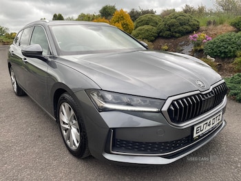 Used Skoda Superb 2024 for sale - 78810758: Photo