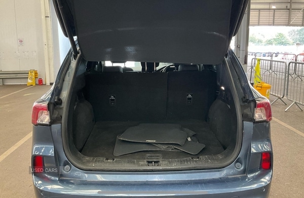 Used Ford Kuga 2023 for sale - 76338177: Photo 9