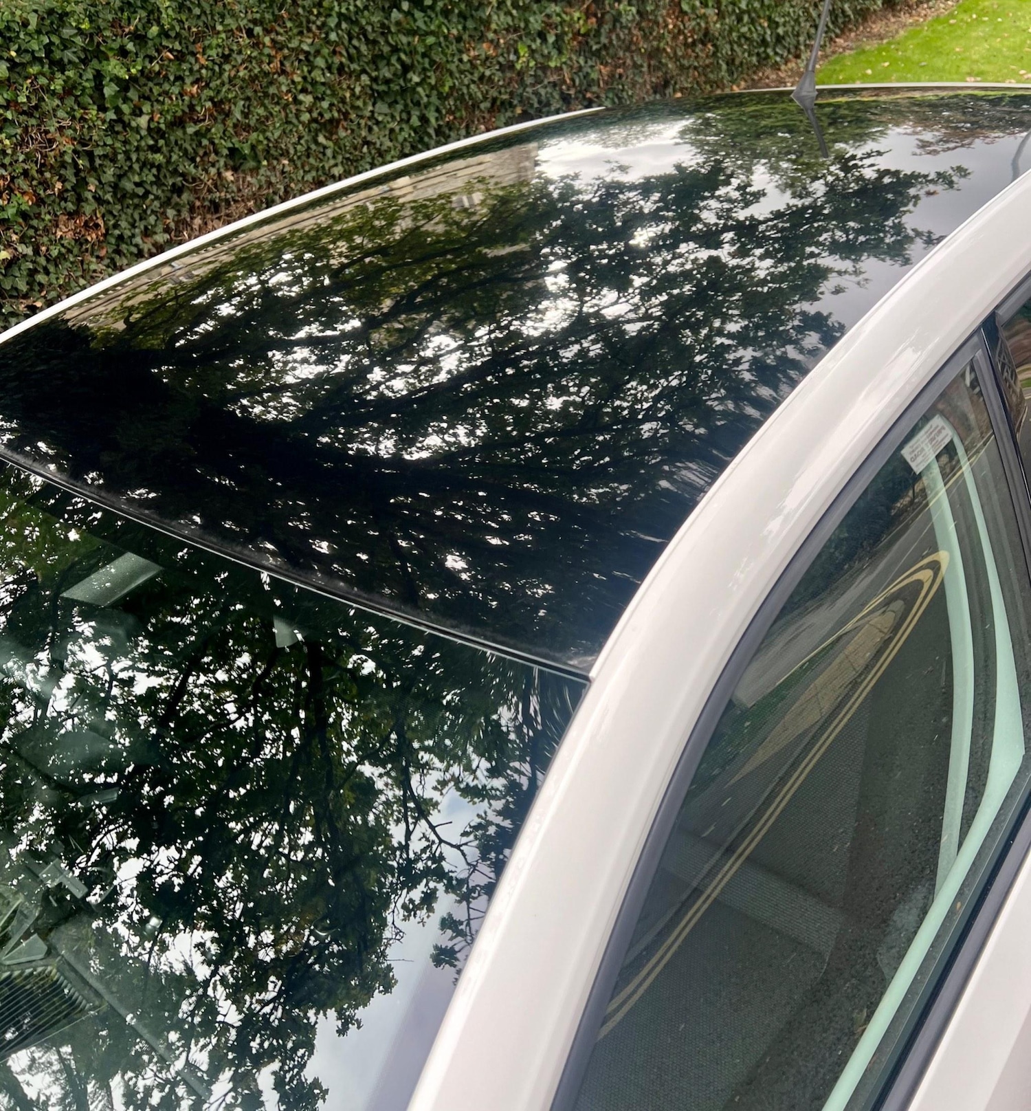 Used Skoda Citigo 2017 for sale - 76200455: Photo 46