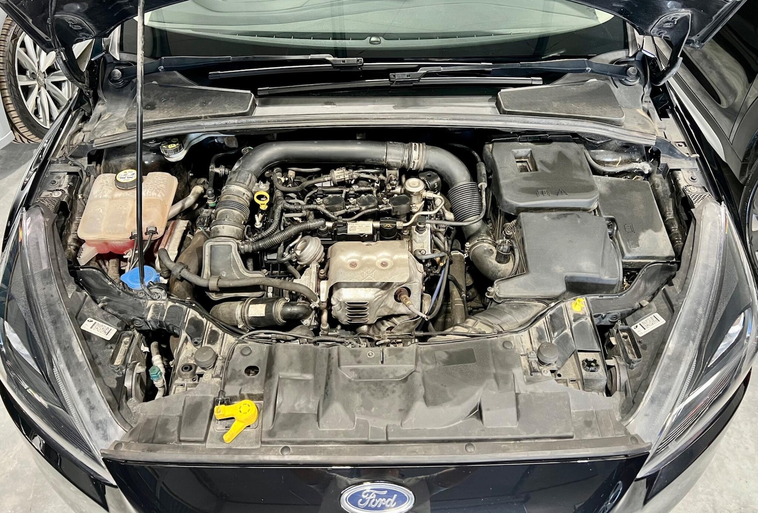 Used Ford Focus 2017 for sale - 76200775: Photo 71