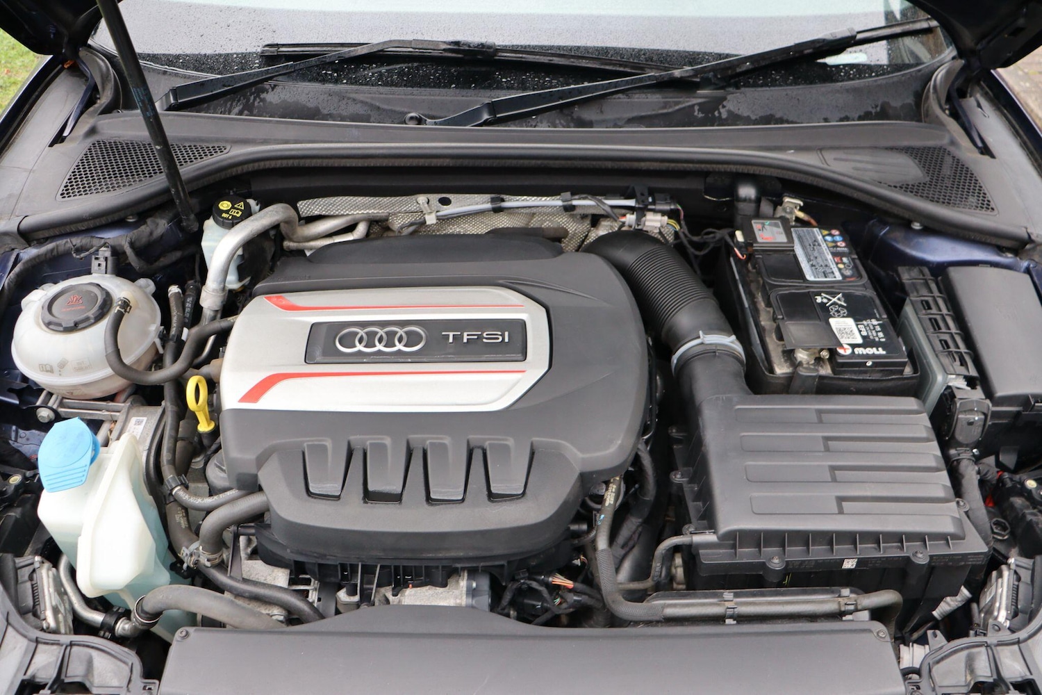 Used Audi S3 for sale - 77624939: Photo 24